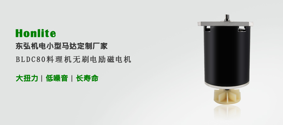 料理機(jī)無(wú)刷電勵(lì)磁電機(jī)